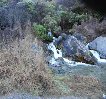 Brackens Gully