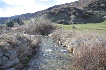Cardrona Creek