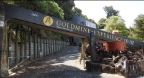 Goldmine Experience