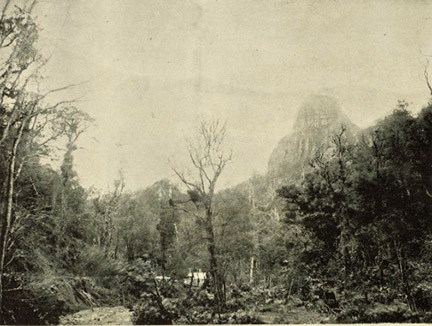 Maratoto 1900