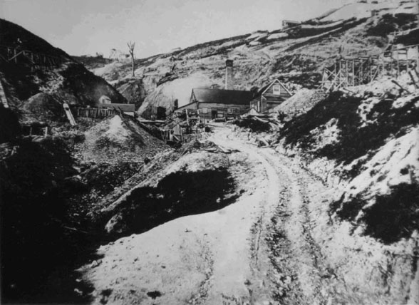 Shotover Claim, Kuranui Hill.